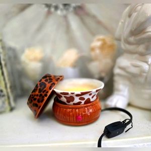 Pink Zebra Double Dish Simmer Pot